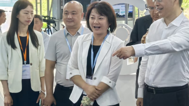 上海汽车滤清器定制公司推荐
